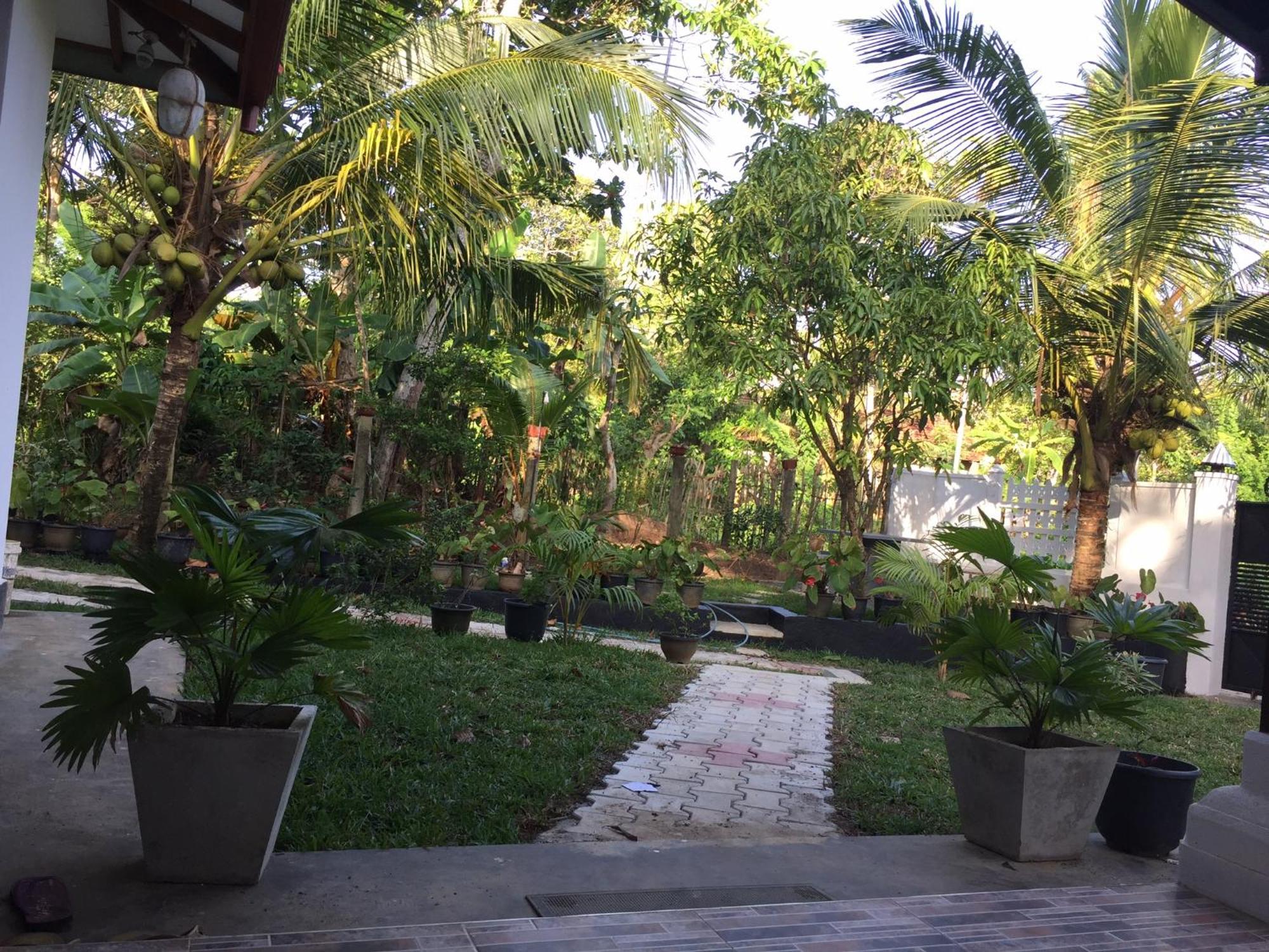 Mirewon Guest Hotell Weligama Eksteriør bilde