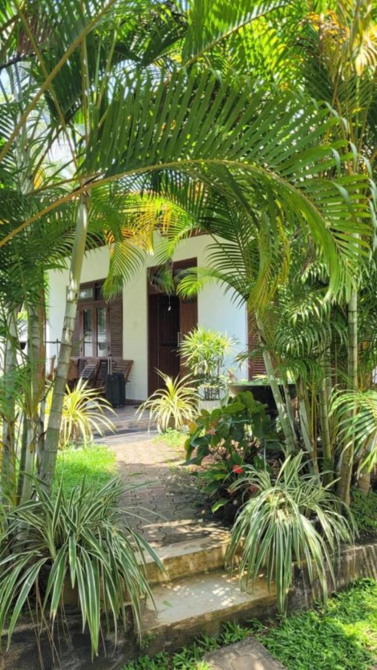 Mirewon Guest Hotell Weligama Eksteriør bilde
