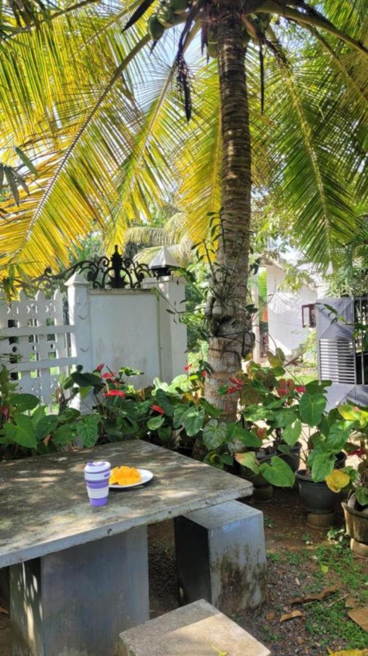 Mirewon Guest Hotell Weligama Eksteriør bilde